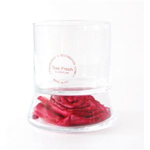 TreeFresh キャンドルフォルダー ファッショングラス