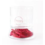 TreeFresh キャンドルフォルダー ファッショングラス