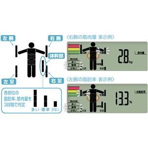 ^j^^TANITA ̑gvCi[XLV ^bNS[h BC-612-GD摜R