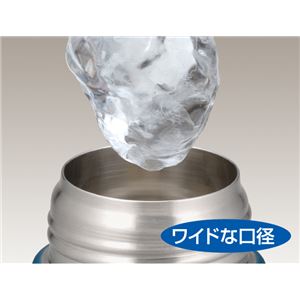 Thermos^T[X ^fMX|[c{g 0.5L ^[RCYu[ FFD-500DS-TBL摜Q