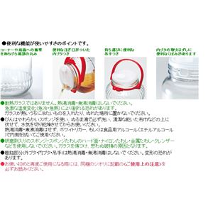 ʎr mX؃KX 5L ʎr摜R