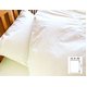 防ダニ 掛け布団用カバー(オーガニックコットン100%) シングル キナリ画像最小1