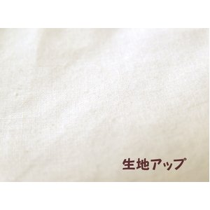 h_j ~zcpJo[iI[KjbNRbg100%j VO Li摜R