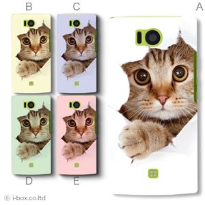 カラーA ハードケース 103SH AQUOS PHONE 対応 カバー ジャケット 携帯ケース 103sh_a07_061a_a