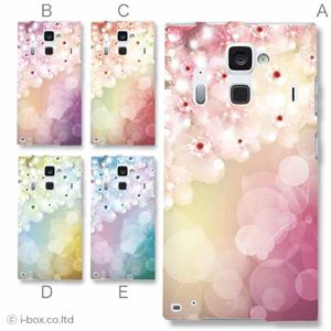 カラーA ハードケース F-06E ARROWS NX 対応 カバー ジャケット 携帯ケース f06e_a03_543a_a