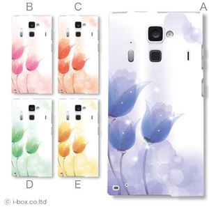 カラーA ハードケース F-06E ARROWS NX 対応 カバー ジャケット 携帯ケース f06e_a36_525a_a