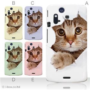 カラーA ハードケース IS11S／SO-02C Xperia Acro 対応 カバー ジャケット 携帯ケース is11s_a07_061a_a