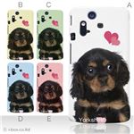 カラーA ハードケース IS11S／SO-02C Xperia Acro 対応 カバー ジャケット 携帯ケース is11s_a08_064a_a