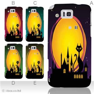 カラーA ハードケース IS13SH／IS17SH AQUOS PHONE ／CL 対応 カバー ジャケット 携帯ケース is13sh_a11_542a_a