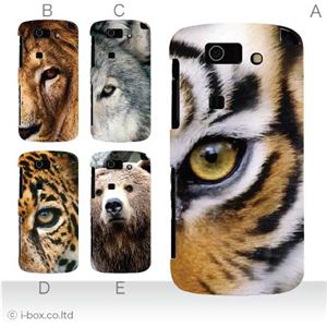 カラーA ハードケース IS15SH AQUOS PHONE SL 対応 カバー ジャケット 携帯ケース is15sh_a00_101a_a