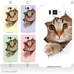 カラーA ハードケース ISW16SH AQUOS PHONE SERIE 対応 カバー ジャケット 携帯ケース isw16s_a07_061a_a