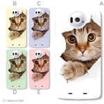 カラーA ハードケース N-03E Disney Mobile 対応 カバー ジャケット 携帯ケース n03e_a07_061a_a