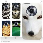 カラーA ハードケース P-02D／101P LUMIX Phone 対応 カバー ジャケット 携帯ケース p02d_a00_210a_a