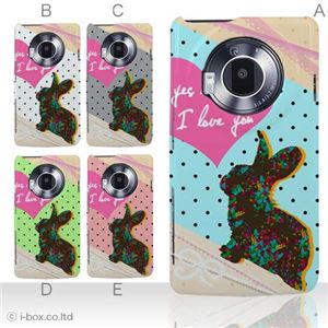 カラーA ハードケース P-02D／101P LUMIX Phone 対応 カバー ジャケット 携帯ケース p02d_a01_146a_a