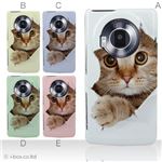 カラーA ハードケース P-02D／101P LUMIX Phone 対応 カバー ジャケット 携帯ケース p02d_a07_061a_a