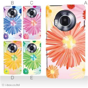 カラーA ハードケース P-02D／101P LUMIX Phone 対応 カバー ジャケット 携帯ケース p02d_a36_509a_a
