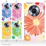 カラーA ハードケース P-02D／101P LUMIX Phone 対応 カバー ジャケット 携帯ケース p02d_a36_509a_a