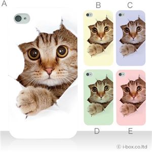 カラーA ハードケース iPhone4S／iPhone4／iPhone4s 対応 カバー ジャケット 携帯ケース phone4_a07_061a_a