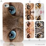 カラーA ハードケース iPhone4S／iPhone4／iPhone4s 対応 カバー ジャケット 携帯ケース phone4_a18_518a_a