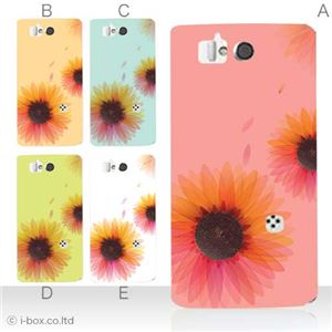 カラーA ハードケース SH-09D AQUOS PHONE ZETA 対応 カバー ジャケット 携帯ケース sh09d_a36_536a_a
