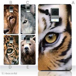 カラーA ハードケース SH-13C AQUOS PHONE f 対応 カバー ジャケット 携帯ケース sh13c_a00_101a_a