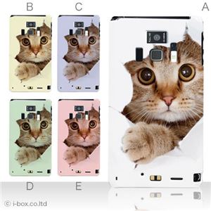 カラーA ハードケース T-01D REGZA Phone ／F-08D Disney Mobile 対応 カバー ジャケット 携帯ケース t01d_a07_061a_a