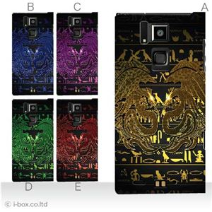 カラーA ハードケース T-02D REGZA Phone ／101F ARROWS A 対応 カバー ジャケット 携帯ケース t02d_a00_222a_a