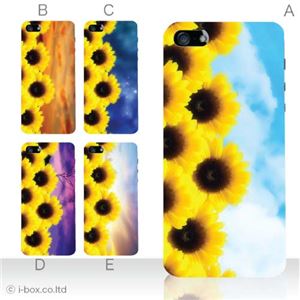 カラーE ハードケース iPhone5C ケース/アイフォン5C/ハードケース/ハード/ docomo/au/SoftBank 対応 カバー ジャケット スマホケース phon5c_a00_097a_e