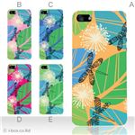 カラーE ハードケース iPhone5C ケース/アイフォン5C/ハードケース/ハード/ docomo/au/SoftBank 対応 カバー ジャケット スマホケース phon5c_a02_006a_e