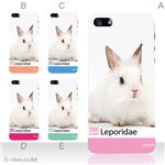 カラーE ハードケース iPhone5C ケース/アイフォン5C/ハードケース/ハード/ docomo/au/SoftBank 対応 カバー ジャケット スマホケース phon5c_a02_070a_e