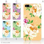カラーE ハードケース iPhone5C ケース/アイフォン5C/ハードケース/ハード/ docomo/au/SoftBank 対応 カバー ジャケット スマホケース phon5c_a03_533a_e