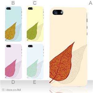 カラーE ハードケース iPhone5C ケース/アイフォン5C/ハードケース/ハード/ docomo/au/SoftBank 対応 カバー ジャケット スマホケース phon5c_a04_531a_e