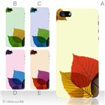 カラーE ハードケース iPhone5C ケース/アイフォン5C/ハードケース/ハード/ docomo/au/SoftBank 対応 カバー ジャケット スマホケース phon5c_a04_533a_e