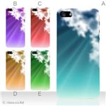 カラーE ハードケース iPhone5C ケース/アイフォン5C/ハードケース/ハード/ docomo/au/SoftBank 対応 カバー ジャケット スマホケース phon5c_a04_593a_e