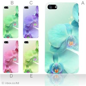 カラーE ハードケース iPhone5C ケース/アイフォン5C/ハードケース/ハード/ docomo/au/SoftBank 対応 カバー ジャケット スマホケース phon5c_a04_612a_e