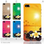 カラーE ハードケース iPhone5C ケース/アイフォン5C/ハードケース/ハード/ docomo/au/SoftBank 対応 カバー ジャケット スマホケース phon5c_a05_533a_e