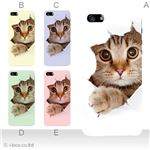 カラーE ハードケース iPhone5C ケース/アイフォン5C/ハードケース/ハード/ docomo/au/SoftBank 対応 カバー ジャケット スマホケース phon5c_a07_061a_e