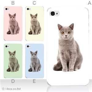 カラーE ハードケース iPhone5C ケース/アイフォン5C/ハードケース/ハード/ docomo/au/SoftBank 対応 カバー ジャケット スマホケース phon5c_a08_511a_e