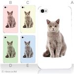 カラーE ハードケース iPhone5C ケース/アイフォン5C/ハードケース/ハード/ docomo/au/SoftBank 対応 カバー ジャケット スマホケース phon5c_a08_511a_e