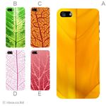 カラーE ハードケース iPhone5C ケース/アイフォン5C/ハードケース/ハード/ docomo/au/SoftBank 対応 カバー ジャケット スマホケース phon5c_a10_593a_e
