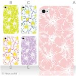 カラーE ハードケース iPhone5C ケース/アイフォン5C/ハードケース/ハード/ docomo/au/SoftBank 対応 カバー ジャケット スマホケース phon5c_a17_509a_e