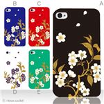 カラーE ハードケース iPhone5C ケース/アイフォン5C/ハードケース/ハード/ docomo/au/SoftBank 対応 カバー ジャケット スマホケース phon5c_a17_522a_e
