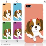 カラーE ハードケース iPhone5C ケース/アイフォン5C/ハードケース/ハード/ docomo/au/SoftBank 対応 カバー ジャケット スマホケース phon5c_a20_547a_e