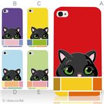 カラーE ハードケース iPhone5C ケース/アイフォン5C/ハードケース/ハード/ docomo/au/SoftBank 対応 カバー ジャケット スマホケース phon5c_a23_508a_e