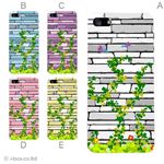 カラーE ハードケース iPhone5C ケース/アイフォン5C/ハードケース/ハード/ docomo/au/SoftBank 対応 カバー ジャケット スマホケース phon5c_a30_536a_e