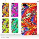 カラーE ハードケース iPhone5C ケース/アイフォン5C/ハードケース/ハード/ docomo/au/SoftBank 対応 カバー ジャケット スマホケース phon5c_a33_545a_e