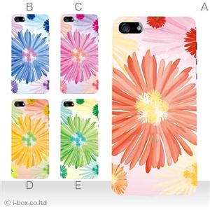 カラーE ハードケース iPhone5C ケース/アイフォン5C/ハードケース/ハード/ docomo/au/SoftBank 対応 カバー ジャケット スマホケース phon5c_a36_509a_e