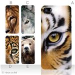 カラーE ハードケース iPhone5S/iPhone5 ケース/アイフォン5/ハードケース/ハード/ docomo/au/SoftBank 対応 カバー ジャケット スマホケース phone5_a00_101a_e