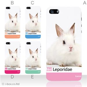 カラーE ハードケース iPhone5S/iPhone5 ケース/アイフォン5/ハードケース/ハード/ docomo/au/SoftBank 対応 カバー ジャケット スマホケース phone5_a02_070a_e