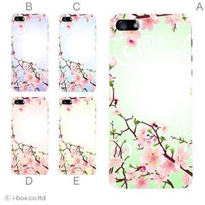 カラーE ハードケース iPhone5S/iPhone5 ケース/アイフォン5/ハードケース/ハード/ docomo/au/SoftBank 対応 カバー ジャケット スマホケース phone5_a03_573a_e